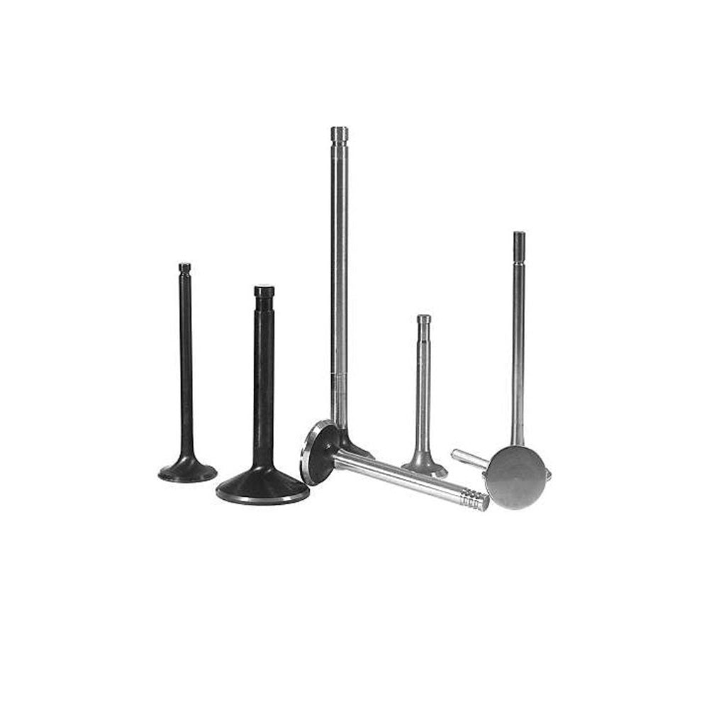 Válvula de Escape Standard Riosulense 543730101 VW Fox/Gol/Voyage