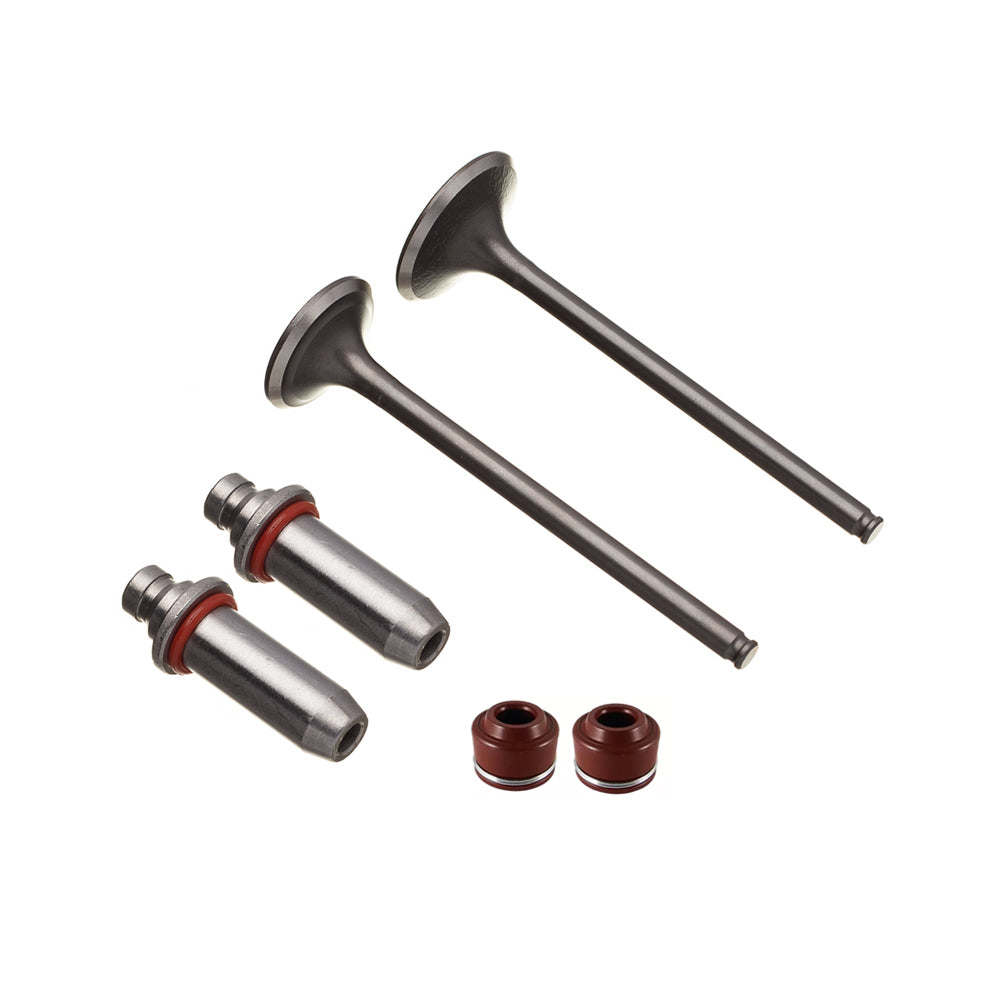 Válvula Guia e Retentor Kit (6PCS) WW3 CBX 250 01/08 CB 300R – foto 1