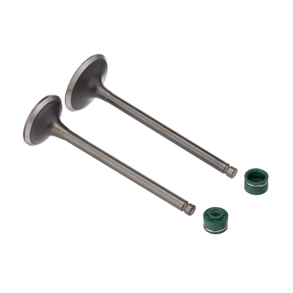 Válvula e Retentor Kit (4PCS) WW3 CBX 200 94/02 – foto 1