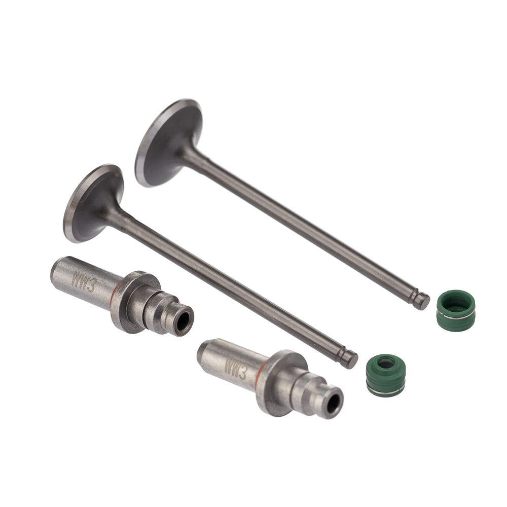Válvula Guia e Retentor Kit (6PCS) WW3 CG 125 02/08 Reten. Verde – foto 1