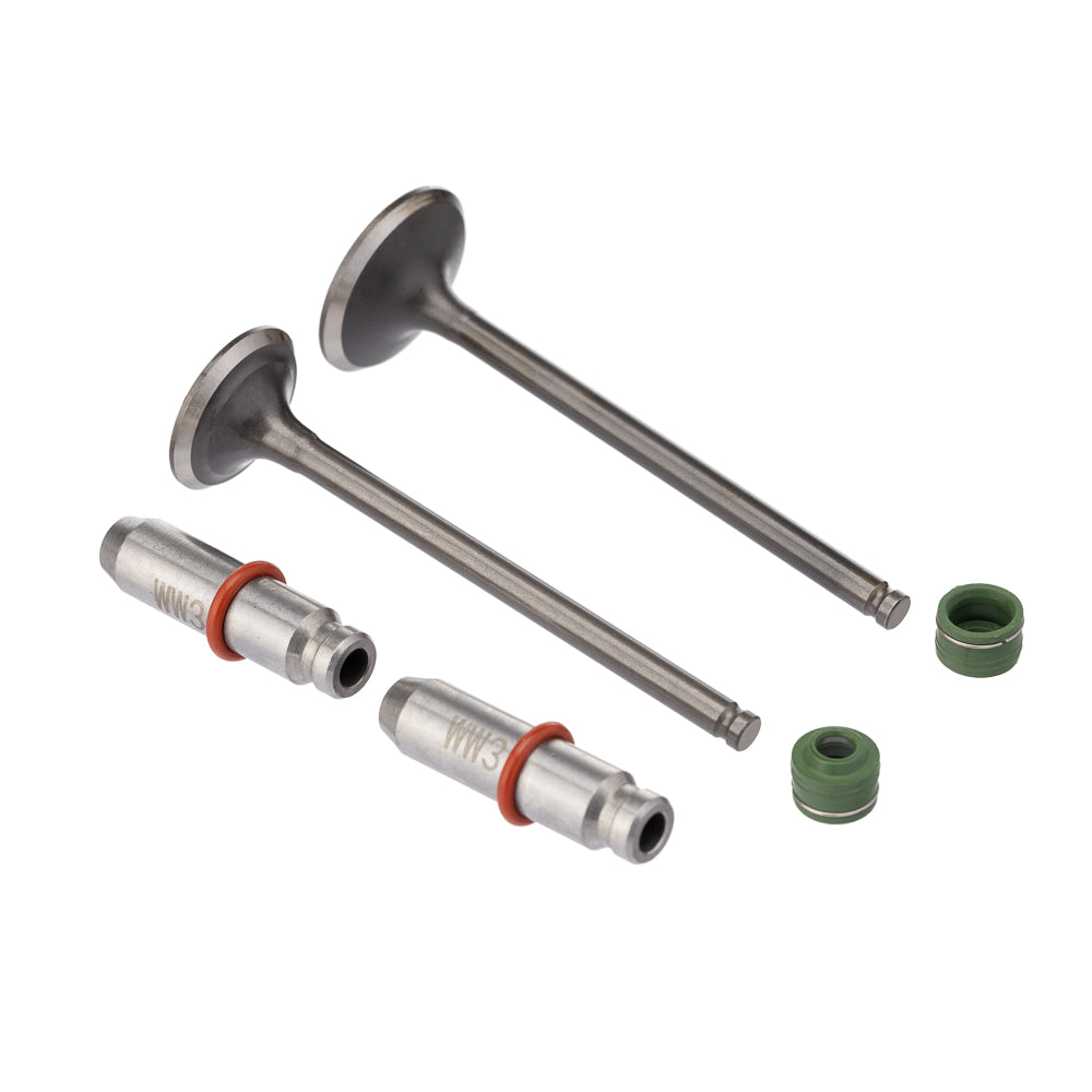 Válvula Guia e Retentor Kit (6PCS) WW3 CG 125 09/18 Reten. Verde – foto 1
