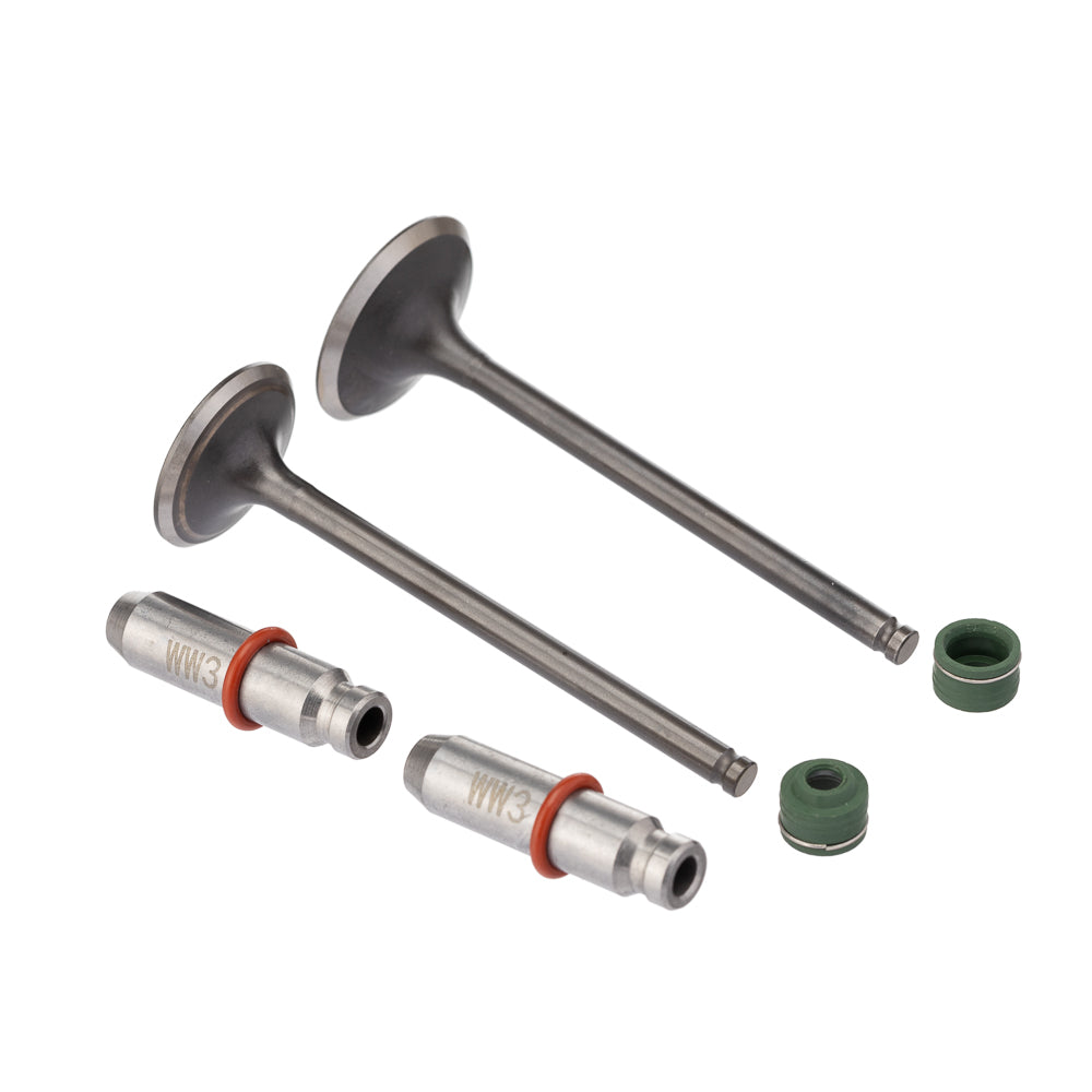 Válvula Guia e Retentor Kit (6PCS) WW3 CG 150 04/15 Reten. Verde – foto 1