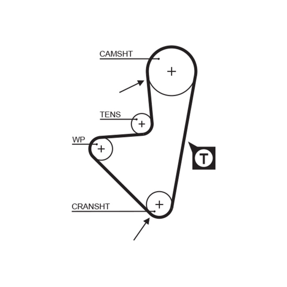 Correia Sincronizadora Hnbr Gates 5347XS Peugeot 206/205/306, Citroen Xsara/AX