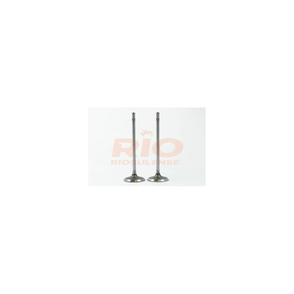 Válvula Adm Standard Riosulense 544620701 Fiat Uno/Fiorino/500/Siena/Palio/Punto/Strada/Grand Siena/Mobi
