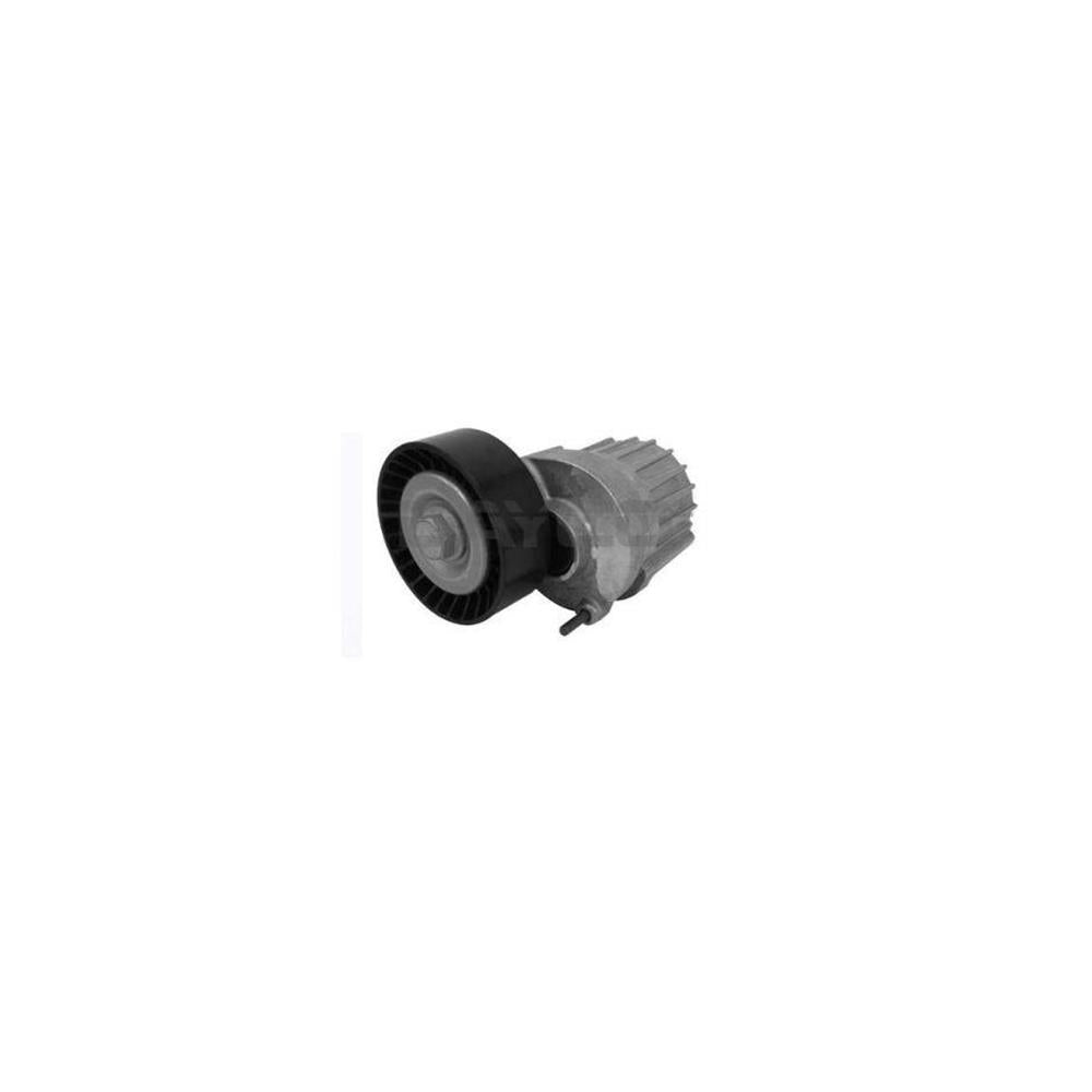 Tensor da Correia Poli-v com Polia Dayco APV2511 VW Amarok