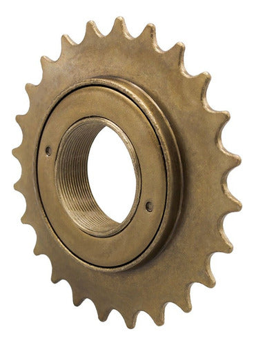 Roda Livre 24d Catraca Bike Roda Livre Bicicleta Esferada