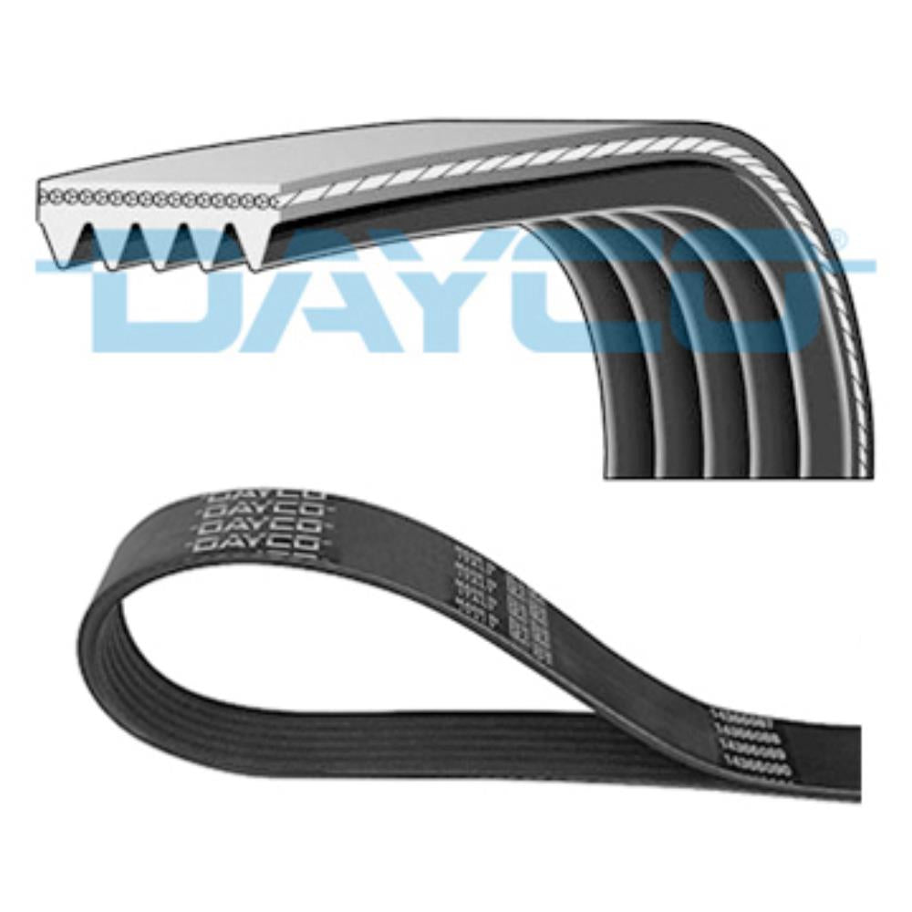 Correia Poly V Dayco 6DPK1285 VW Jetta