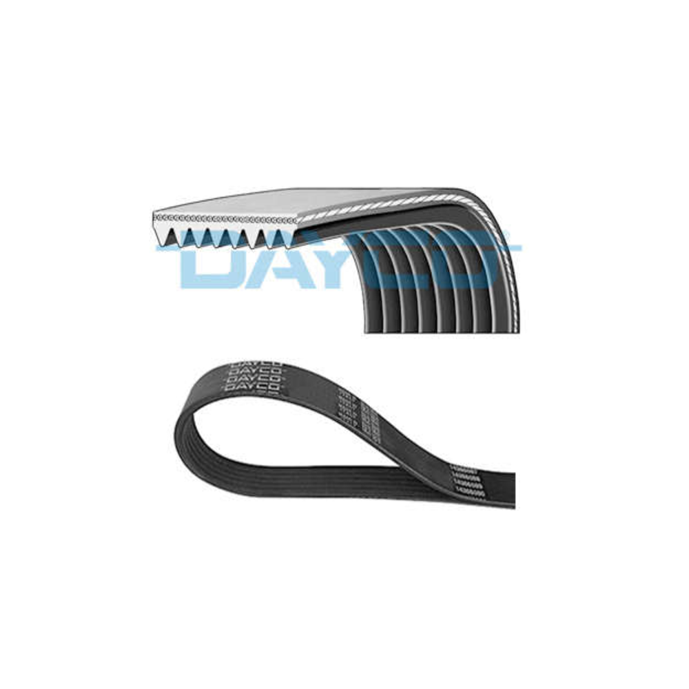 Correia Poly V Dayco 8PK1385 Ford F-1000