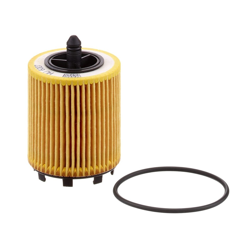 Elemento Filtrante Óleo Lubrificante Mann-filter HU6007X GM Captiva/Vectra
