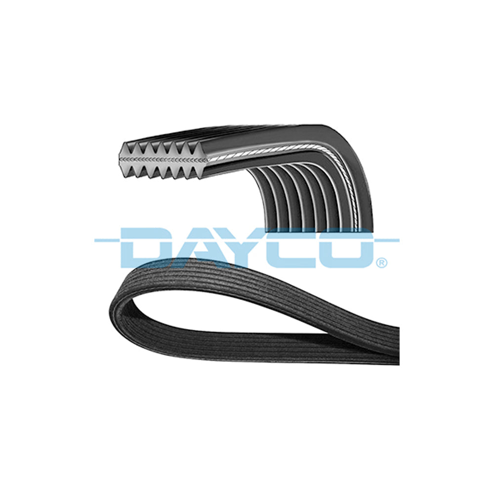 Correia Poly V Dayco 7DPK1360 VW Passat/Golf