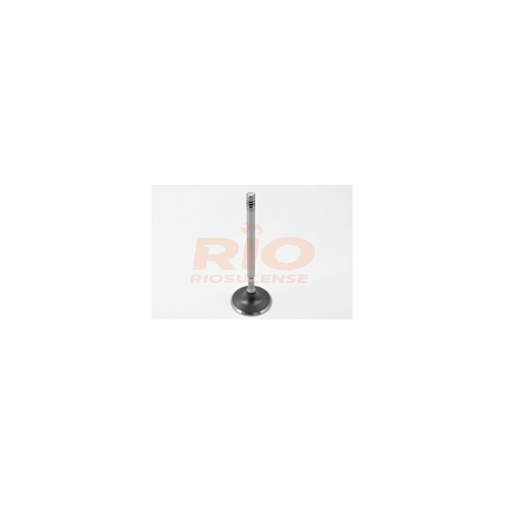Válvula Adm Standard Riosulense 544490401 Fiat Stilo, GM Meriva