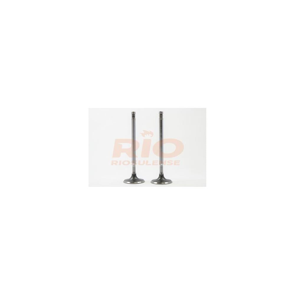 Válvula Adm Standard Riosulense 544490401 Fiat Stilo, GM Meriva
