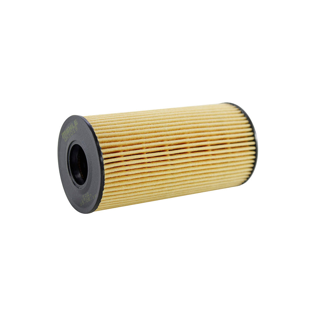 Filtro de Óleo Metal Leve OX1019D Renault Master