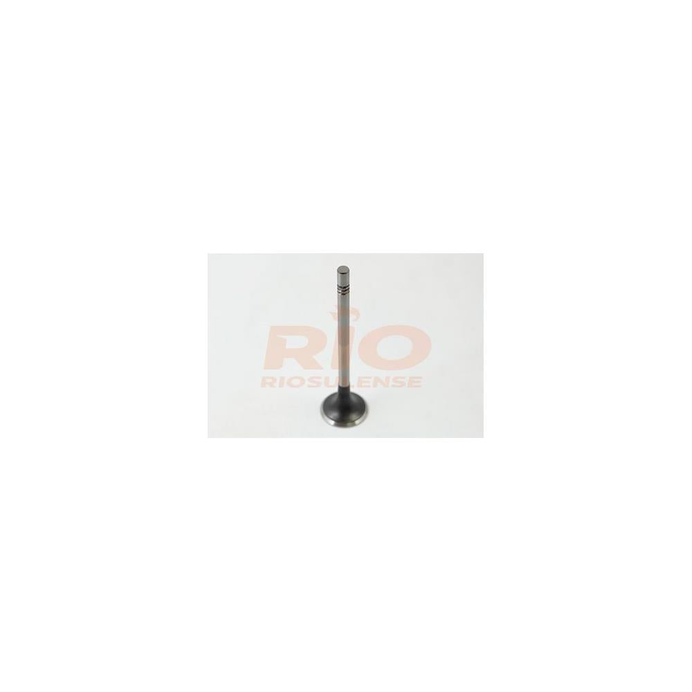 Válvula de Escape Standard Riosulense 544910101 VW Amarok