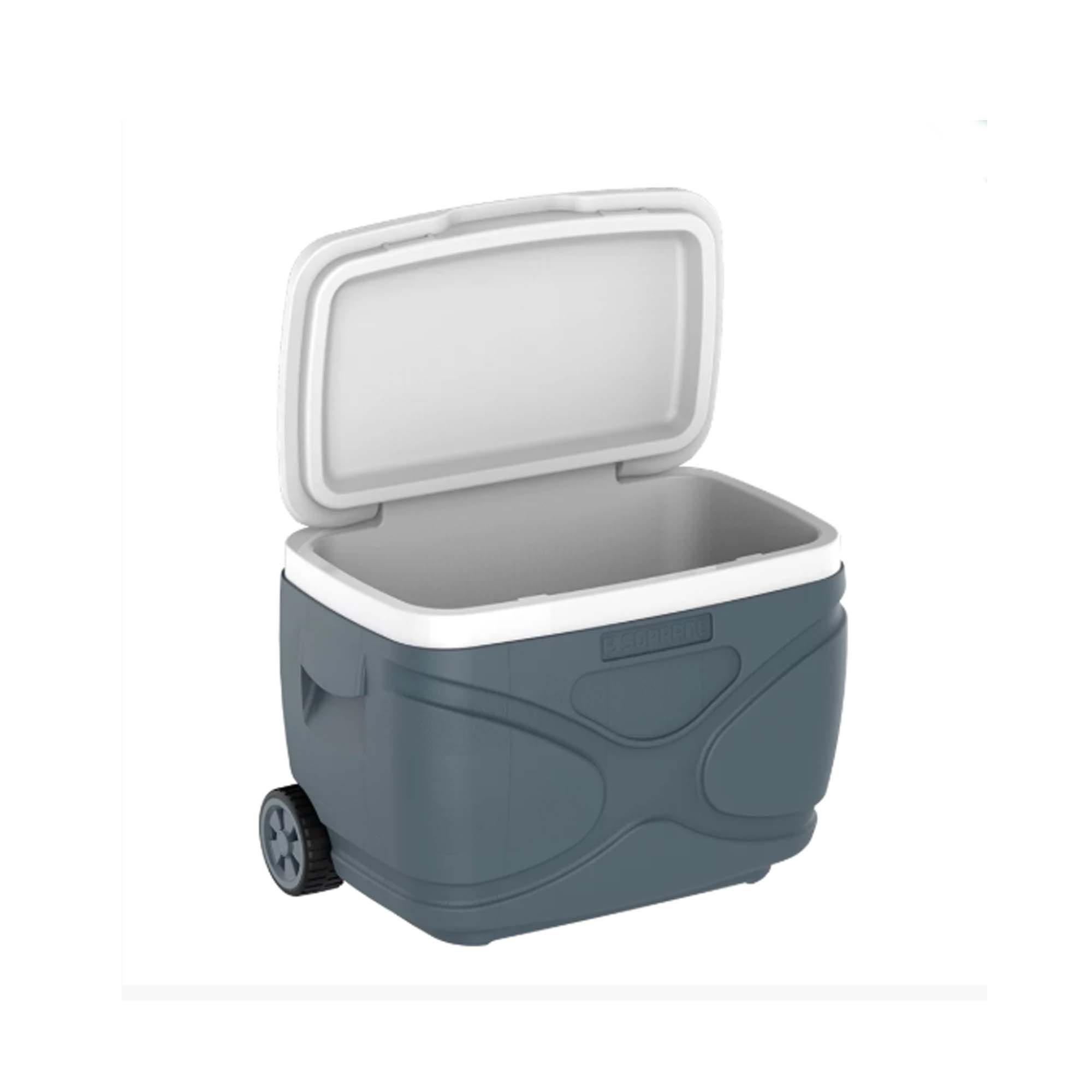 CAIXA TERMICA EVEREST 30L CINZA