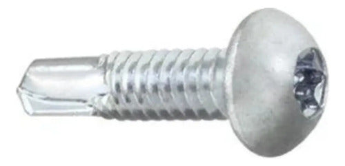 Parafusos Hard Torx Cabeça Lentilha 14x19mm 6mm – 4000 Peças – foto 2