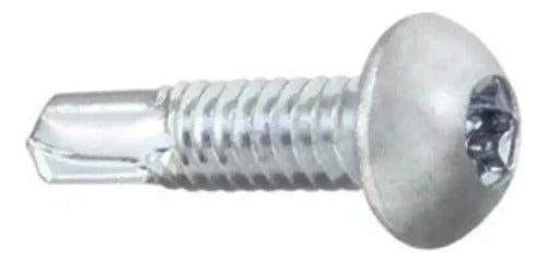Parafusos Hard Torx Cabeça Lentilha 14x19mm 6mm – 100 Peças – foto 1
