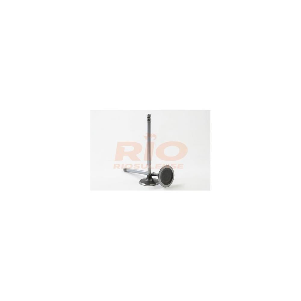 Válvula Adm Standard Riosulense 544490401 Fiat Stilo, GM Meriva