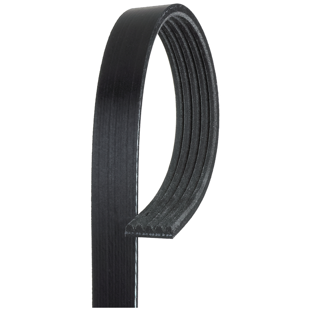 Correia Micro V Gates 5PK1460 GM Agile/Montana