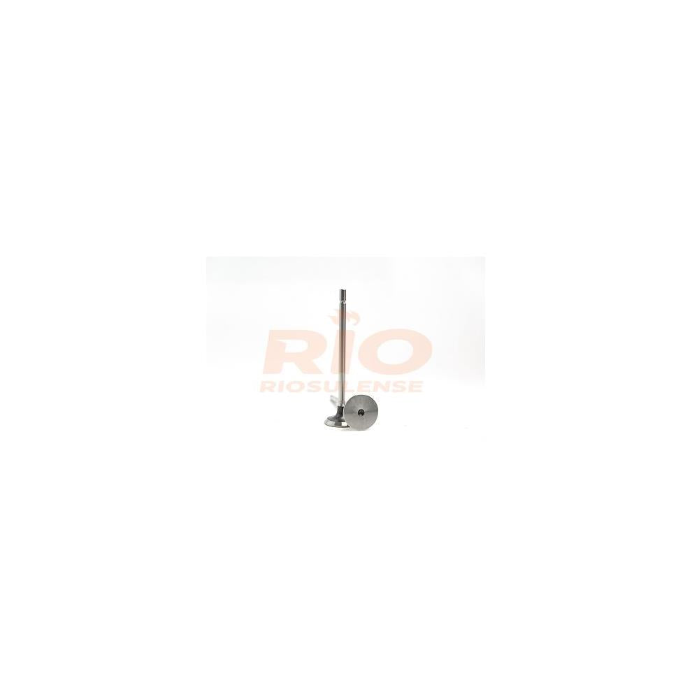 Válvula de Escape Standard Riosulense 543200311 Renault Megane/Kangoo/Sandero/Scenic/Duster/Clio/Logan/Oroch/Symbol/Fluence/Gran Tour, Nissan Livina