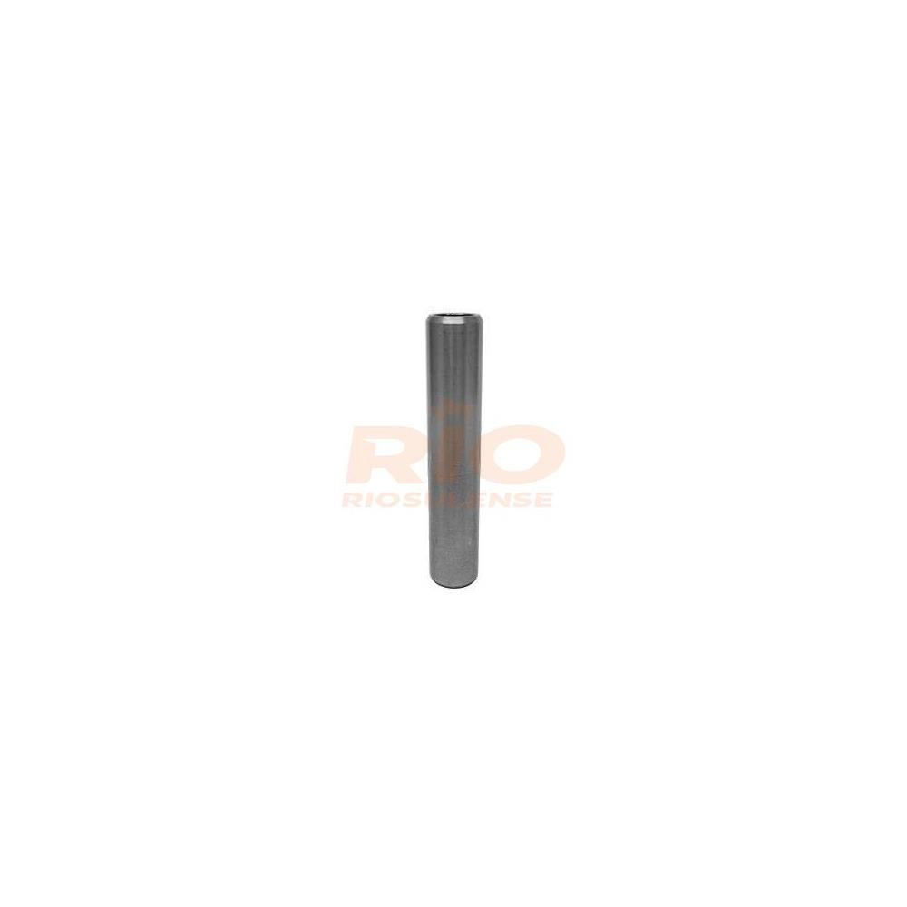 Guia Válvula Standard Riosulense 112227015 Ford Cargo/F-250