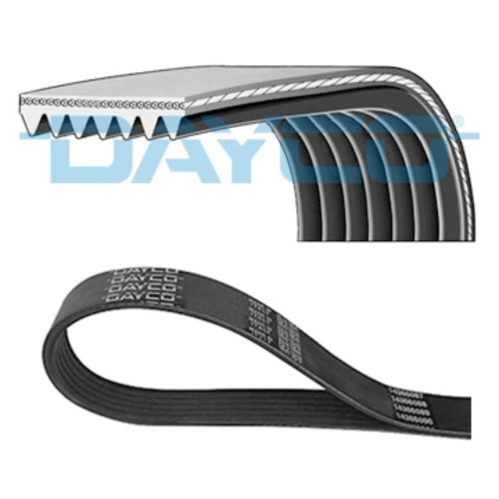 Correia Poly V Dayco 7PK3103S Ford Ranger