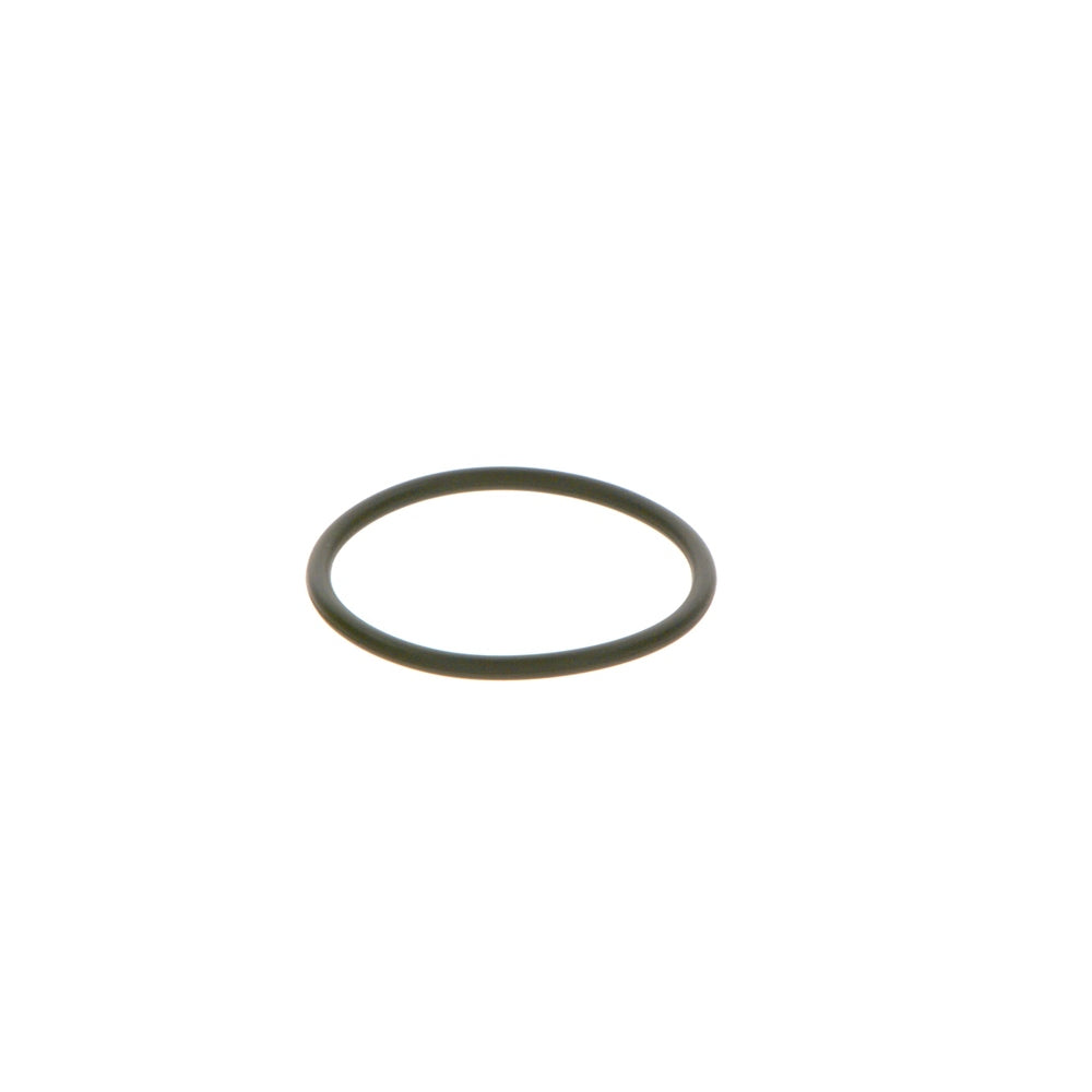 Anel O Bosch F00R0P0166 GM S10/Blazer, Kia Mohave, Renault Master, Agrale Marruá/Furgovan/MA 6000 E, Hyundai H-1 Starex