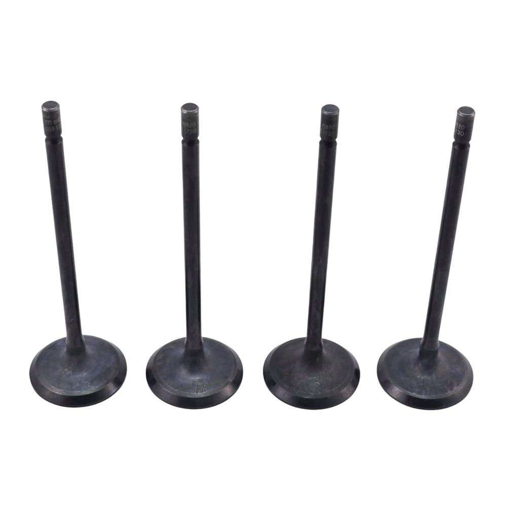 Válvula de Admissão Standard Metal Leve VA0181730 Caixa com 4 Renault Oroch/Captur/Sandero/Duster