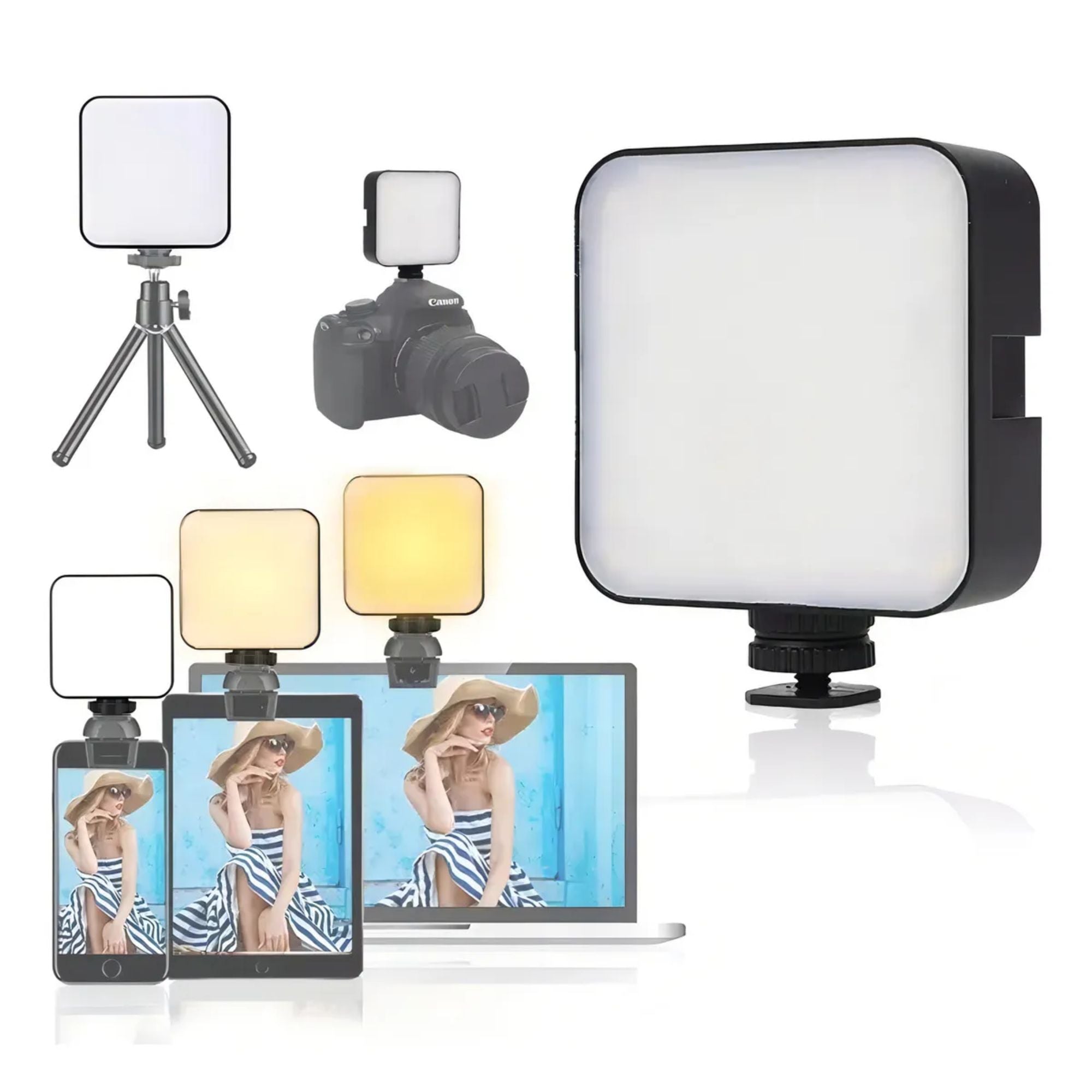 88769e6098eb5304efc3dea85a3c8019