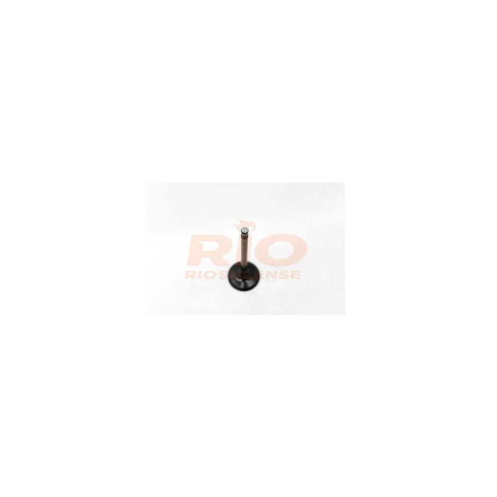 Válvula de Escape Standard Riosulense 544310401 GM Prisma/Montana/Agile/Corsa/Cobalt/Meriva/Onix