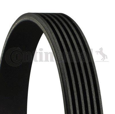 Correia Micro V Gates 6PK1800 Renault Master, Agrale A8 Volare, Jeep Wrangler, Ford F-250