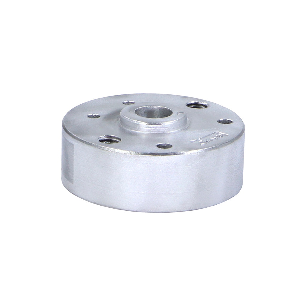 Volante Magnetico para Atomizador 43cc / Atomizador VAT20L – foto 4