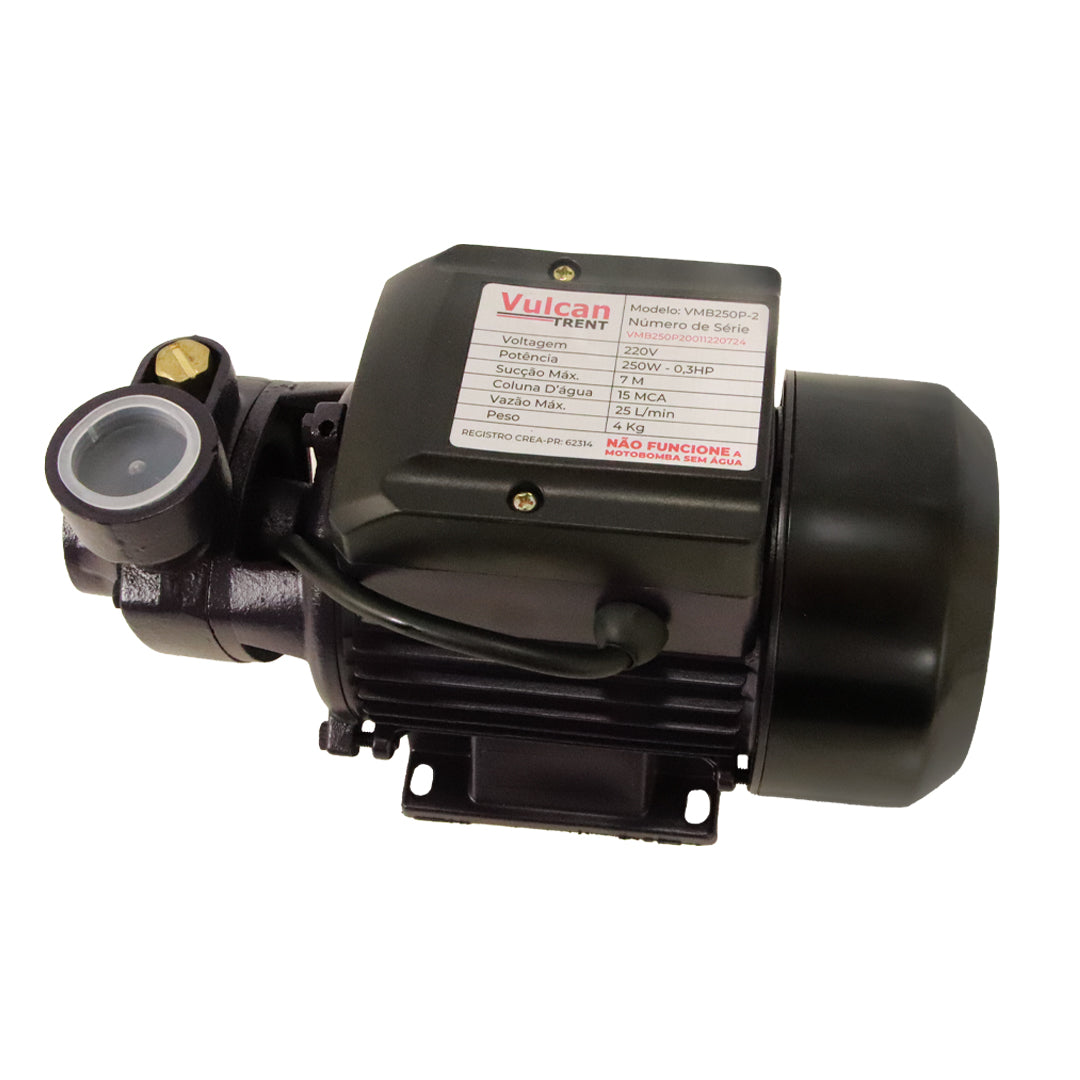 Bomba Periferica 250W 1/3"HP 220V VMB250P - Vulcan Trent – foto 2