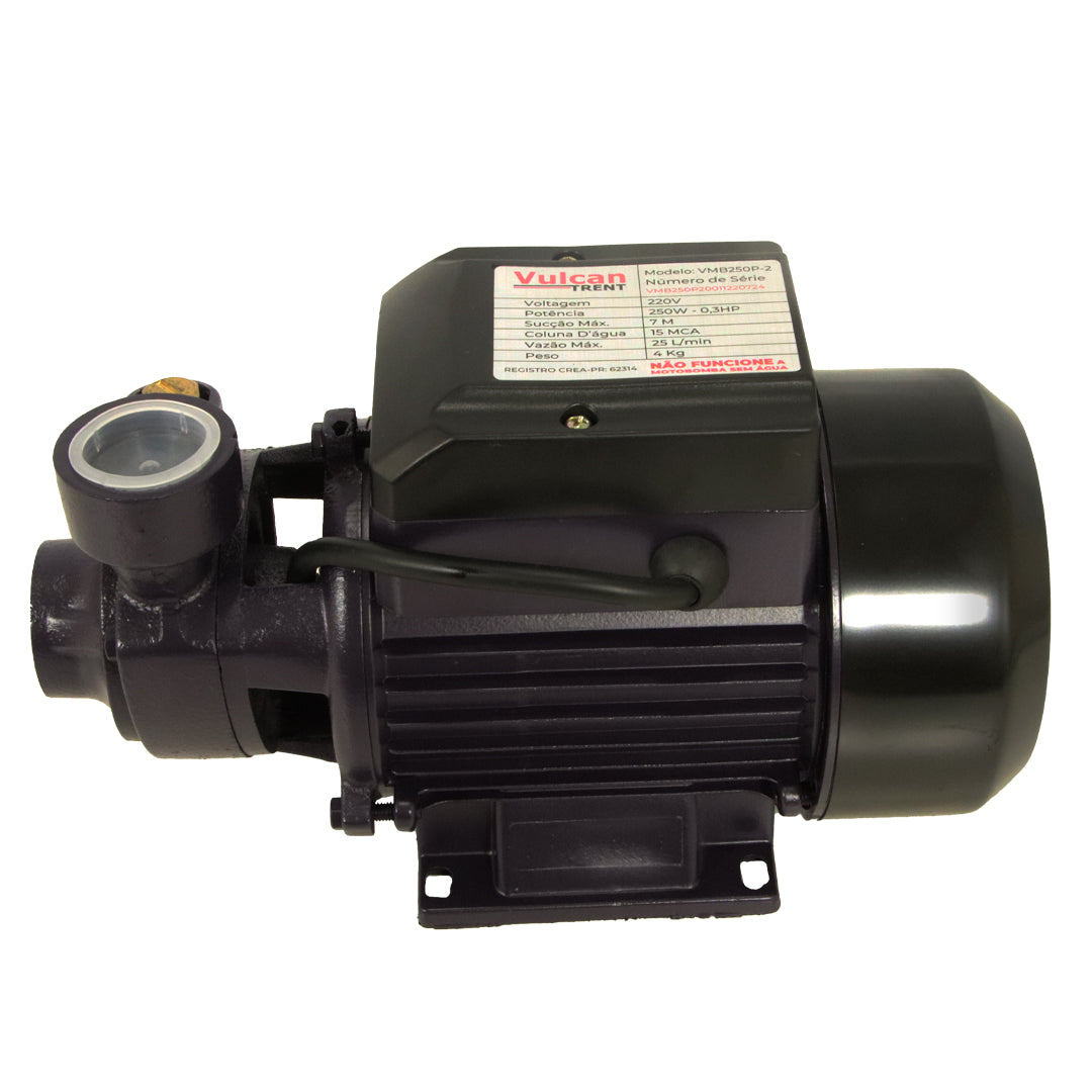Bomba Periferica 250W 1/3"HP 220V VMB250P - Vulcan Trent – foto 1