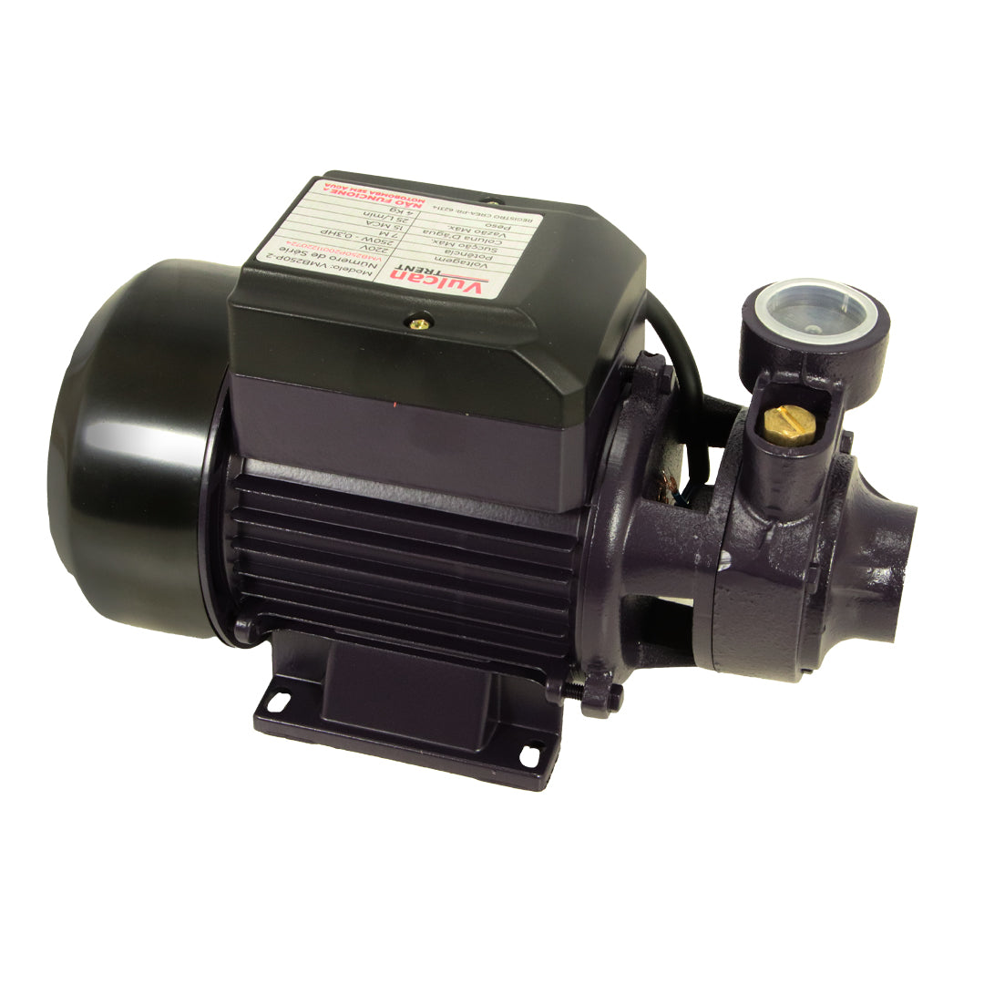 Bomba Periferica 250W 1/3"HP 220V VMB250P - Vulcan Trent – foto 4