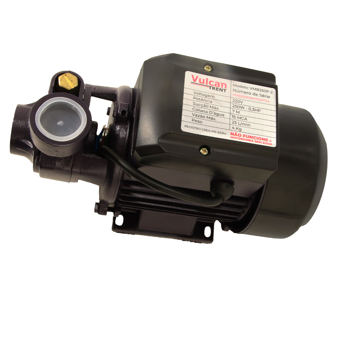Bomba Periferica 250W 1/3"HP 220V VMB250P - Vulcan Trent – foto 6