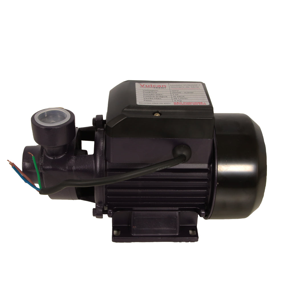 Bomba Periferica 250W 1/3"HP 127V VMB250P - Vulcan Trent – foto 1