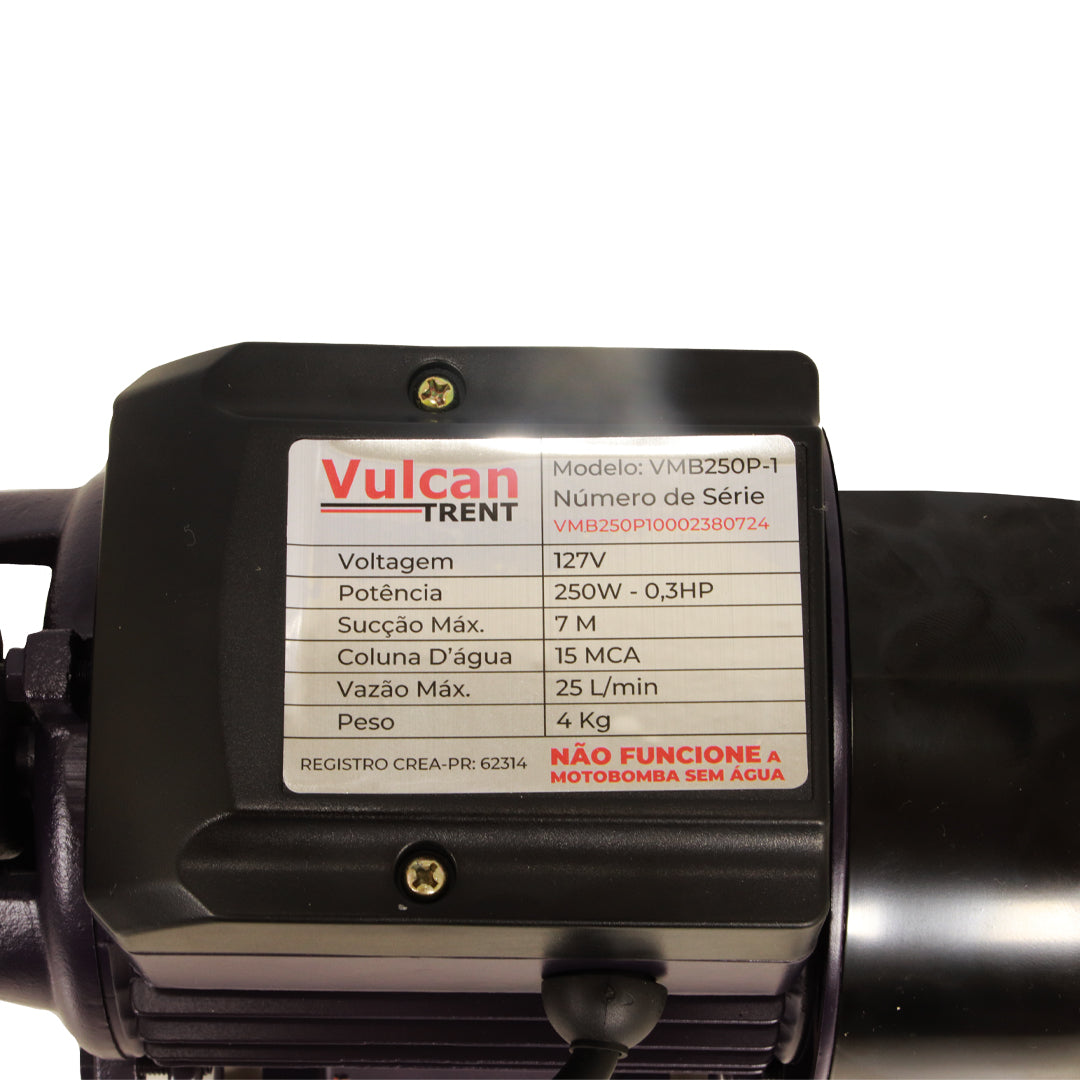 Bomba Periferica 250W 1/3"HP 127V VMB250P - Vulcan Trent – foto 3