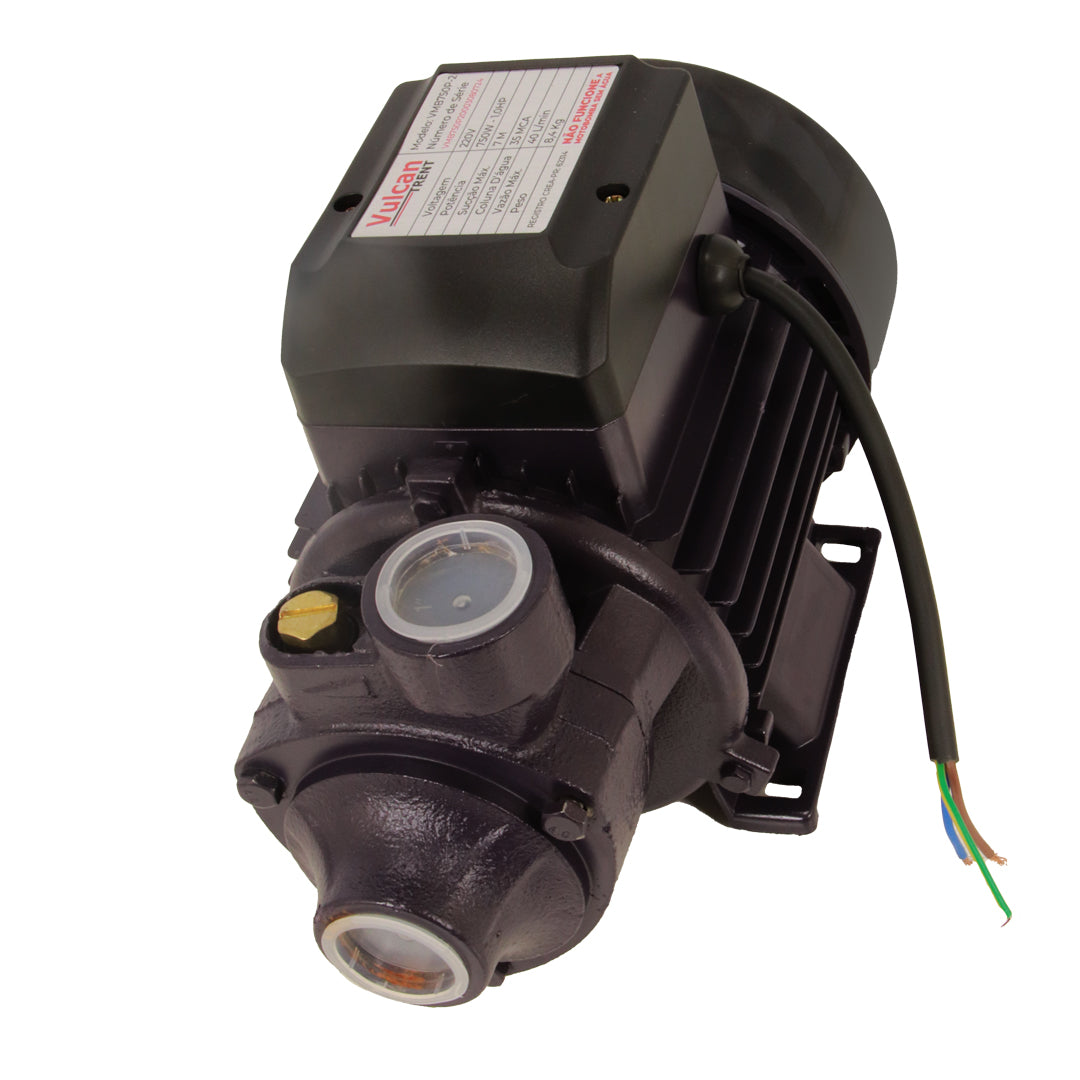Bomba Periferica 750W 1"HP 220V VMB750P - Vulcan Trent – foto 5