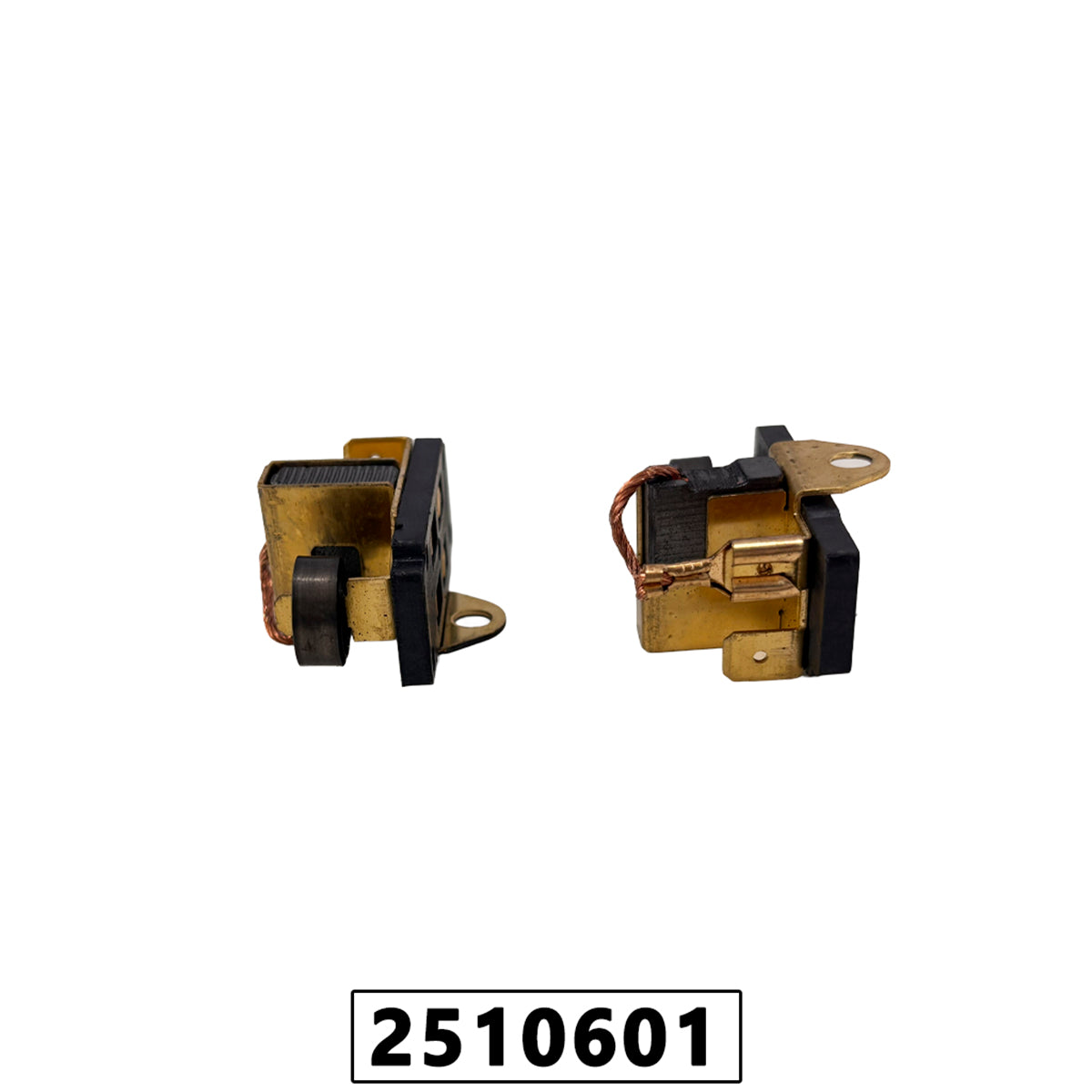 Escova com Suporte para Eletrosserra VSE1600 - 1 Par – foto 2
