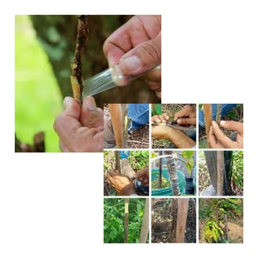 Fita Para Enxertia 5cm - C/120mt