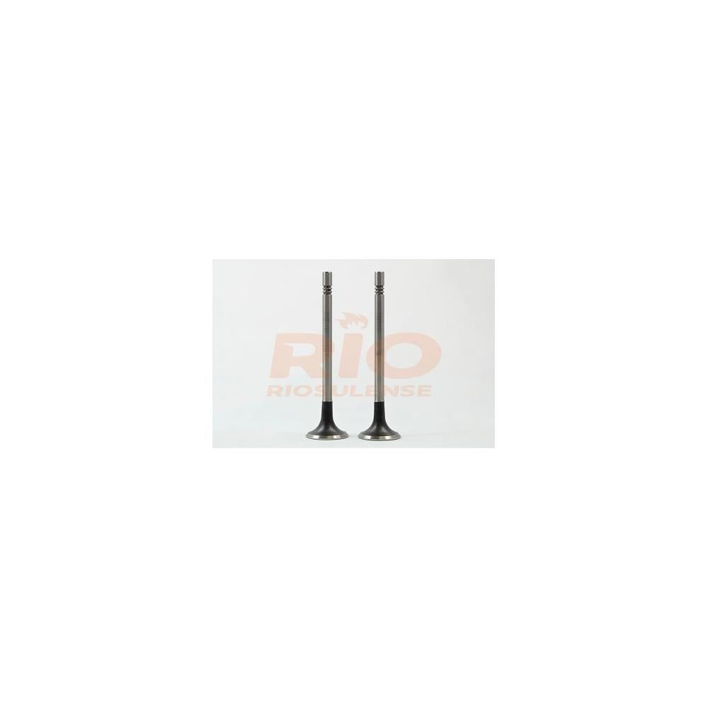 Válvula de Escape Standard Riosulense 544910101 VW Amarok