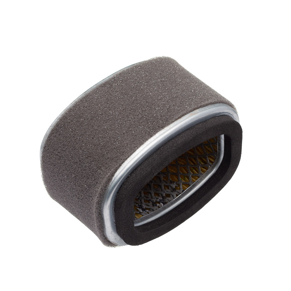 Elemento Filtro de Ar Fram Scooter Burgman 125 Injeção 2011/ (CA12189) - 13780-34H00-000 – foto 1