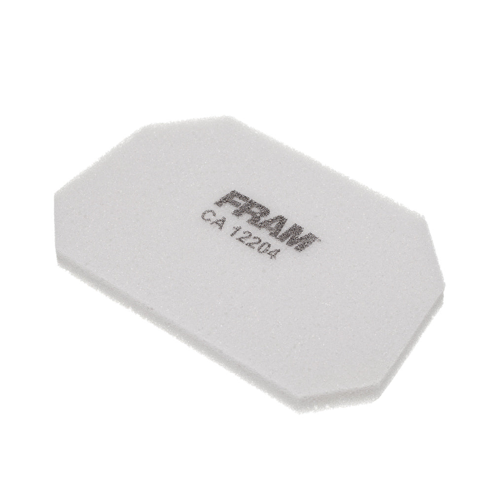 Elemento Filtro de Ar Fram Biz 100 1998 a 2005 - C100 Dream (CA12204) - 17205-GN5-900 – foto 1