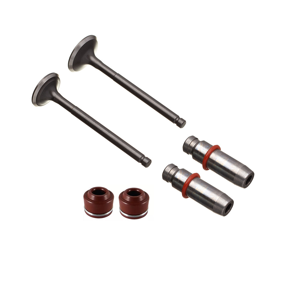 Válvula Guia e Retentor Kit (6PCS) WW3 Biz 125 05/24 – foto 1