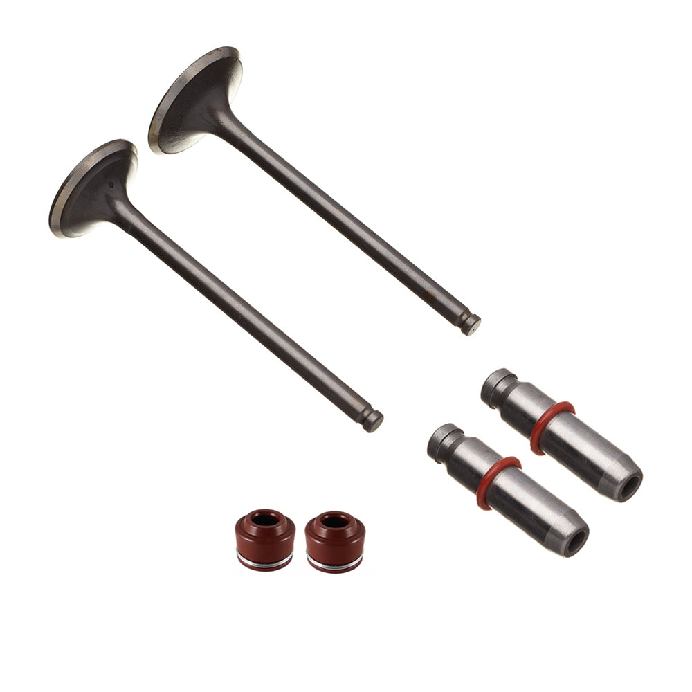 Válvula Guia e Retentor Kit (6PCS) WW3 CG 150 04/15 – foto 1