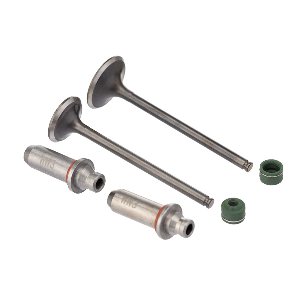 Válvula Guia e Retentor Kit (6PCS) WW3 CBX 250 01/08 Reten. Verde – foto 1