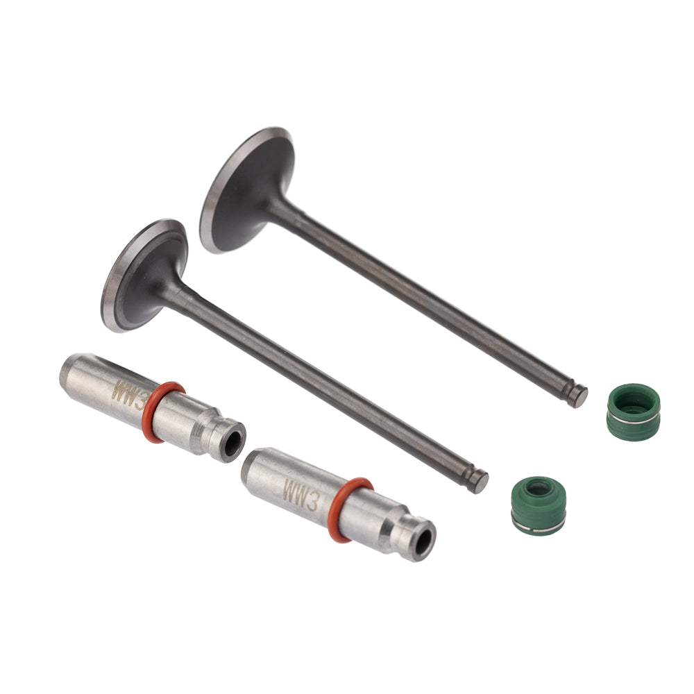 Válvula Guia e Retentor Kit (6PCS) WW3 CG 160 16/ Reten. Verde – foto 1