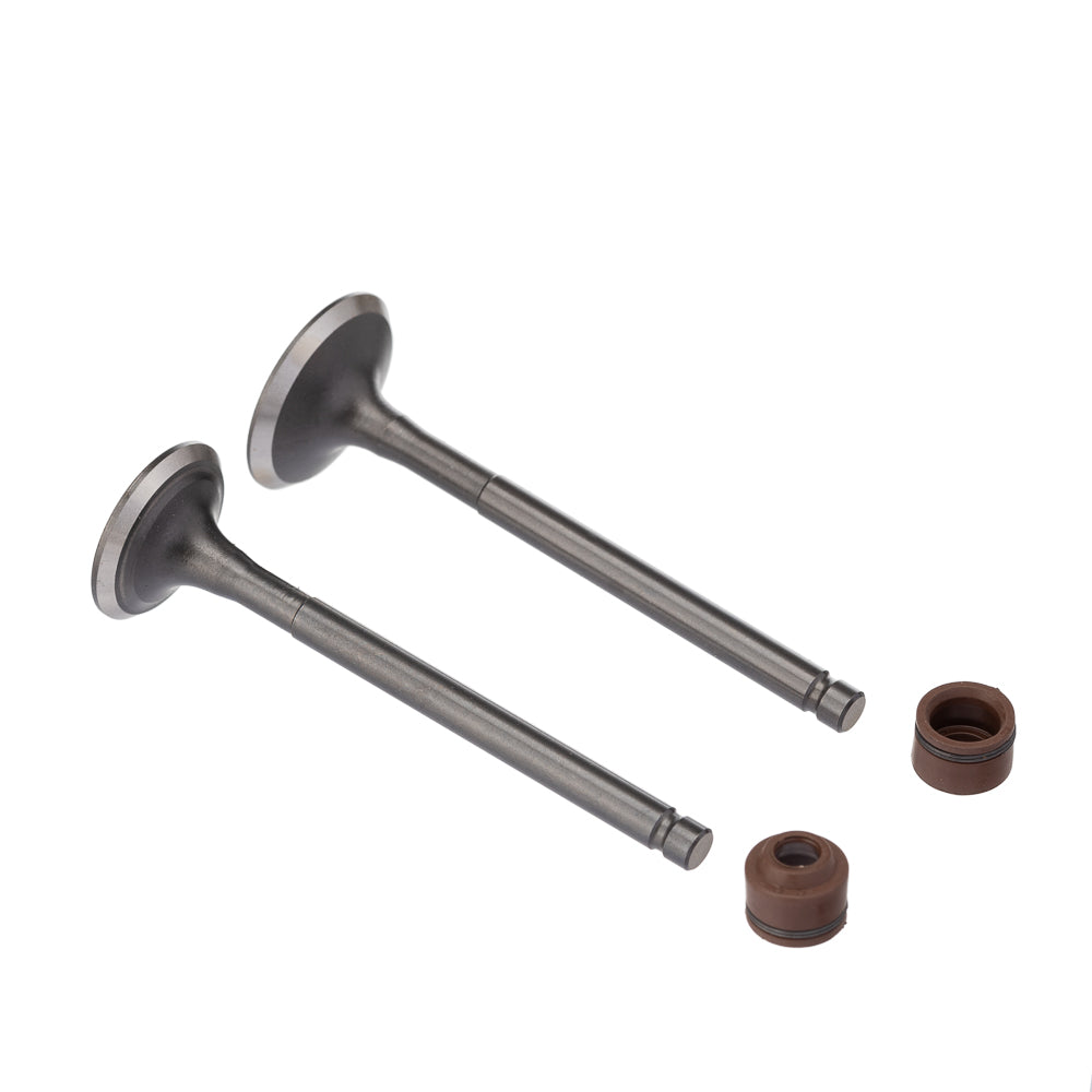 Válvula e Retentor Kit (4PCS) WW3 Biz 125 05/24 (Marrom) – foto 1