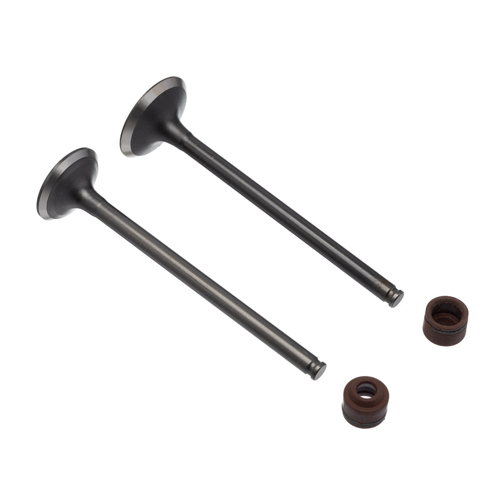 Válvula e Retentor Kit (4PCS) WW3 CB 250 16/22 RET. Marrom – foto 1